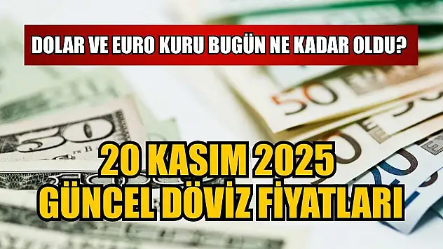 Dolar ve Euro kuru bugün ne kadar oldu?  20 Kasım 2025 güncel döviz fiyatları