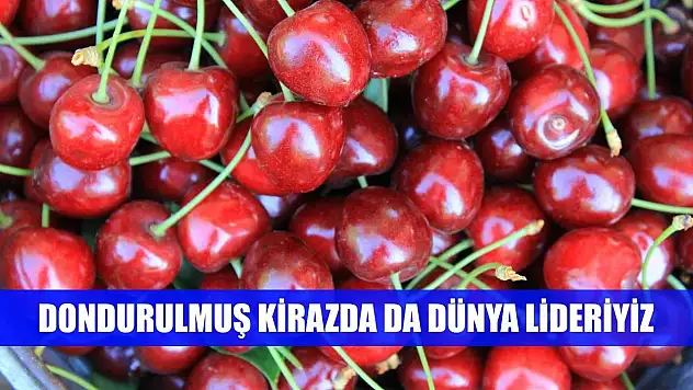 Dondurulmuş kirazda da dünya lideriyiz
