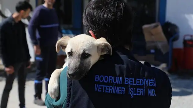 Dünya Veteriner Hekimler Günü Kutlandı