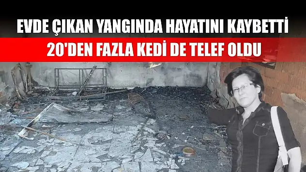 Evde çıkan yangında hayatını kaybetti, 20'den fazla kedi de telef oldu