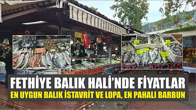 Fethiye Balık Hali'nde fiyatlar: En uygun balık istavrit ve lopa, en pahalı barbun