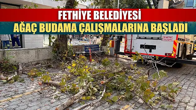 Fethiye Belediyesi Ağaç Budama Çalışmalarına Başladı