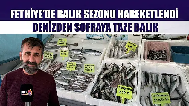 Fethiye'de balık sezonu hareketlendi: Denizden sofraya taze balık
