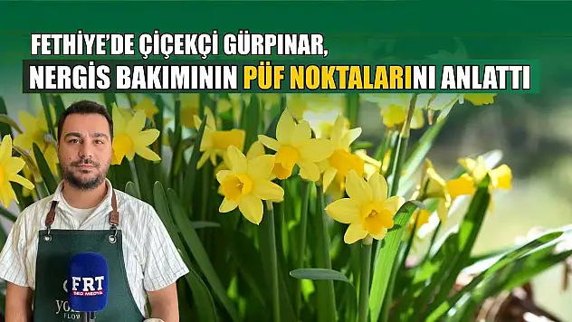 Fethiye'de Çiçekçi Gürpınar, nergis bakımının püf noktalarını anlattı