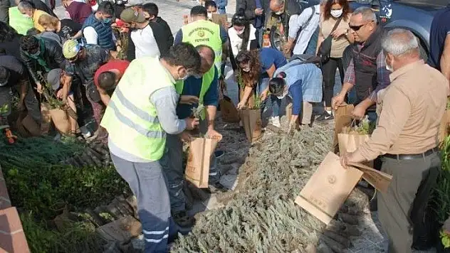 Fethiye'de fidanlar kapış kapış