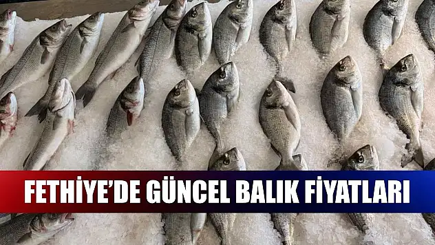Fethiye'de güncel balık fiyatları