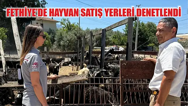 Fethiye'de hayvan satış yerleri denetlendi
