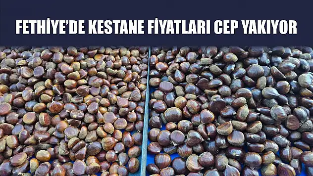 Fethiye'de Kestane Fiyatları Cep Yakıyor