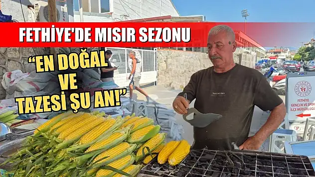 Fethiye'de mısır sezonu, 'En doğal ve tazesi şu an!'