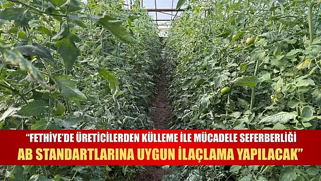 'Fethiye'de üreticilerden külleme ile mücadele seferberliği: AB Standartlarına uygun ilaçlama yapılacak'