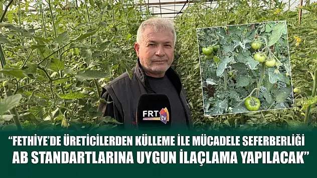 'Fethiye'de üreticilerden külleme ile mücadele seferberliği: AB Standartlarına uygun ilaçlama yapılacak'