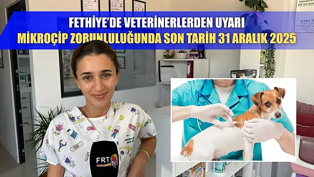 Fethiye'de veterinerlerden uyarı: Mikroçip zorunluluğunda son tarih 31 Aralık 2025