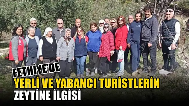 Fethiye'de yerli ve yabancı turistlerin zeytine ilgisi