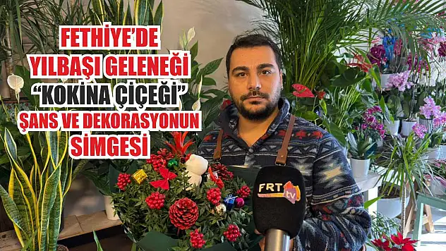 Fethiye'de yılbaşı geleneği: 'Kokina Çiçeği' şans ve dekorasyonun simgesi
