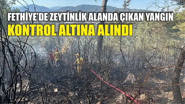 Fethiye'de zeytinlik alanda çıkan yangın kontrol altına alındı