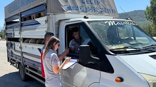 Fethiye İlçe Tarım'dan kurbanlık kontrolü