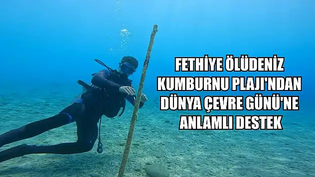 Fethiye Ölüdeniz Kumburnu Plajı'ndan Dünya Çevre Günü'ne anlamlı destek