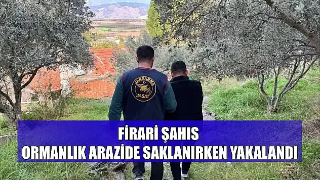 Firari şahıs ormanlık arazide saklanırken yakalandı