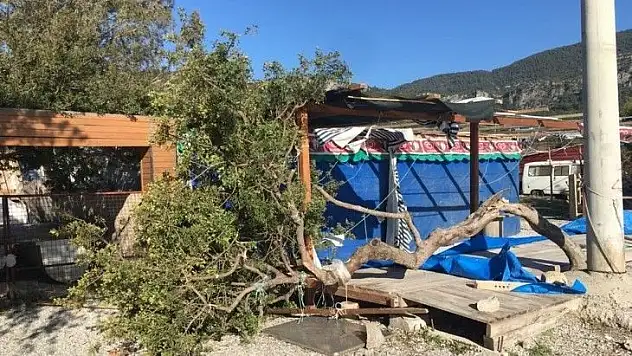 Fırtına Akbük'te hasara yol açtı