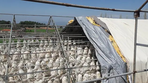 Fırtına Yıktı Geçti