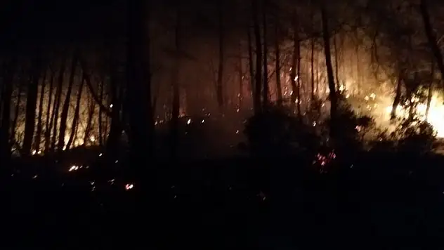 Göcek'teki orman yangını kontrol altına alındı