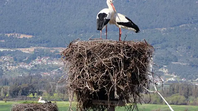 GÖKOVA'NIN MİSAFİRLERİ ERKEN GELDİ