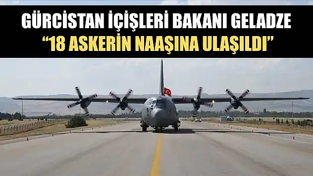 Gürcistan İçişleri Bakanı Geladze: '18 askerin naaşına ulaşıldı'