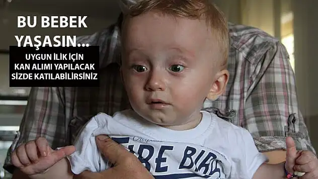 Küçük Halit İçin Uygun İlik Aranıyor