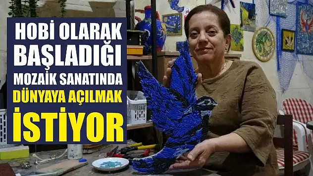 Hobi olarak başladığı mozaik sanatında dünyaya açılmak istiyor