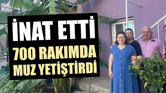 İnat etti, 700 rakımda muz yetiştirdi