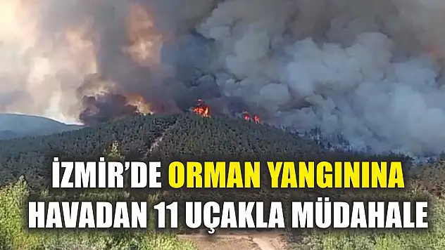 İzmir'de orman yangınına havadan 11 uçakla müdahale