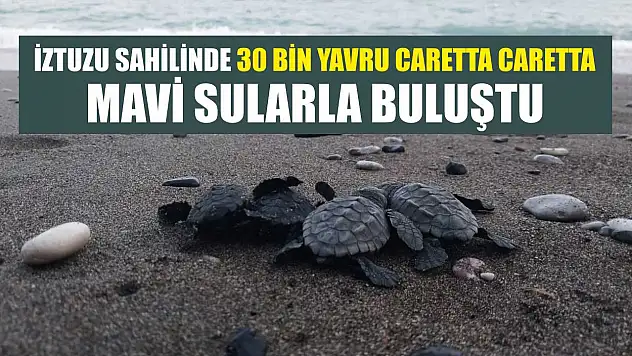 İztuzu sahilinde 30 bin yavru caretta caretta mavi sularla buluştu