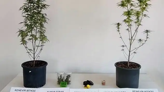 Jandarmadan Bir Haftada 24 Uyuşturucu Operasyonu