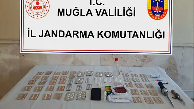 Jandarmadan uyuşturucu operasyonu