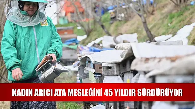 Kadın arıcı ata mesleğini 45 yıldır sürdürüyor