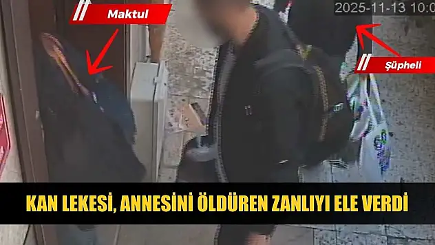 Kan lekesi, annesini öldüren zanlıyı ele verdi