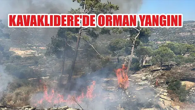 Kavaklıdere'de orman yangını