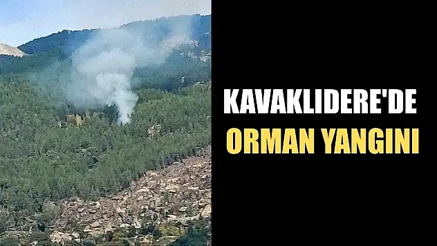 Kavaklıdere'de orman yangını
