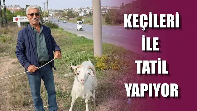 Keçileri ile tatil yapıyor