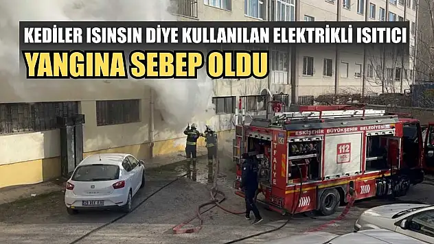 Kediler ısınsın diye kullanılan elektrikli ısıtıcı yangına sebep oldu