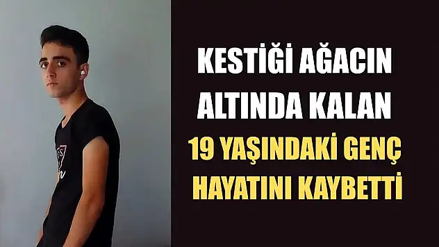 Kestiği ağacın altında kalan 19 yaşındaki genç hayatını kaybetti