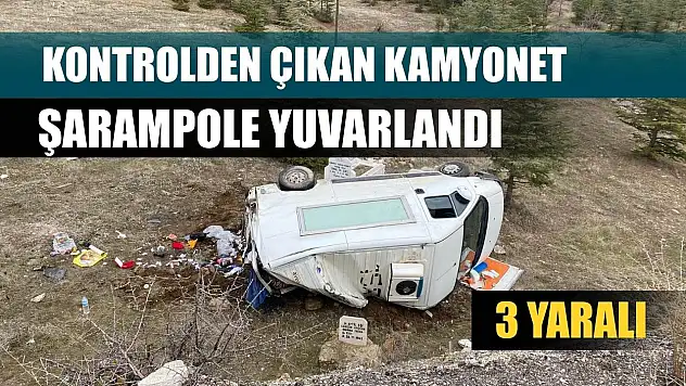 Kontrolden çıkan kamyonet şarampole yuvarlandı: 3 yaralı