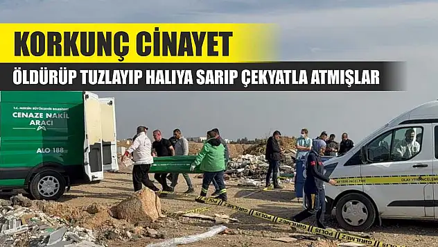 Korkunç cinayet: Öldürüp tuzlayıp halıya sarıp çekyatla atmışlar