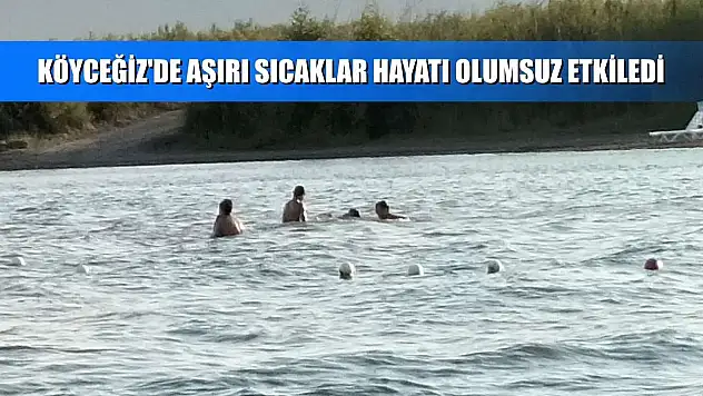 Köyceğiz'de aşırı sıcaklar hayatı olumsuz etkiledi