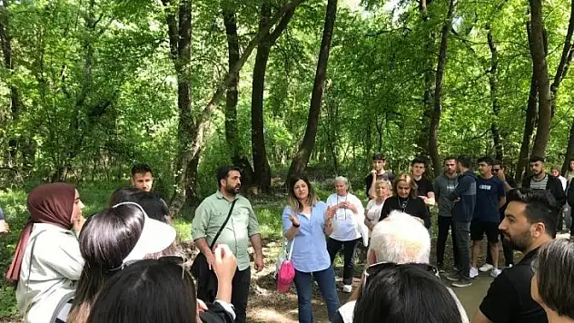 Köyceğiz'de botanik gezisi ve matematik ilişkisi etkinliği