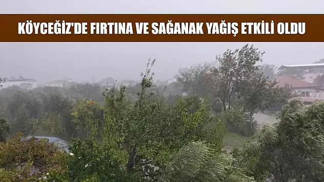 Köyceğiz'de fırtına ve sağanak yağış etkili oldu