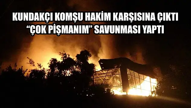 Kundakçı komşu hakim karşısına çıktı: 'Çok pişmanım' savunması yaptı