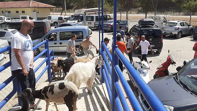 Kurban Kesim Yerlerinde Yoğunluk Yaşanıyor