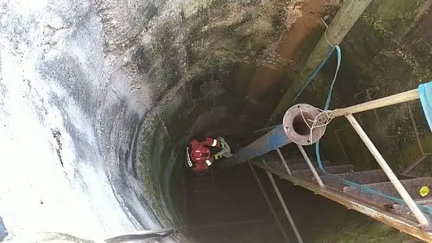 Kuyuya düşen yavru köpeği itfaiye kurtardı