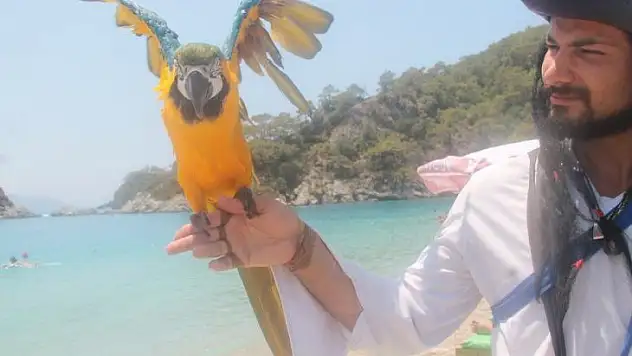 MAHMUT, ÖLÜDENİZ PLAJI'NIN MASKOTU OLDU